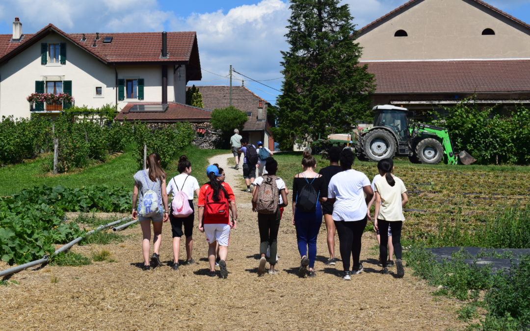 La visite de la Ferme de la Feuillasse