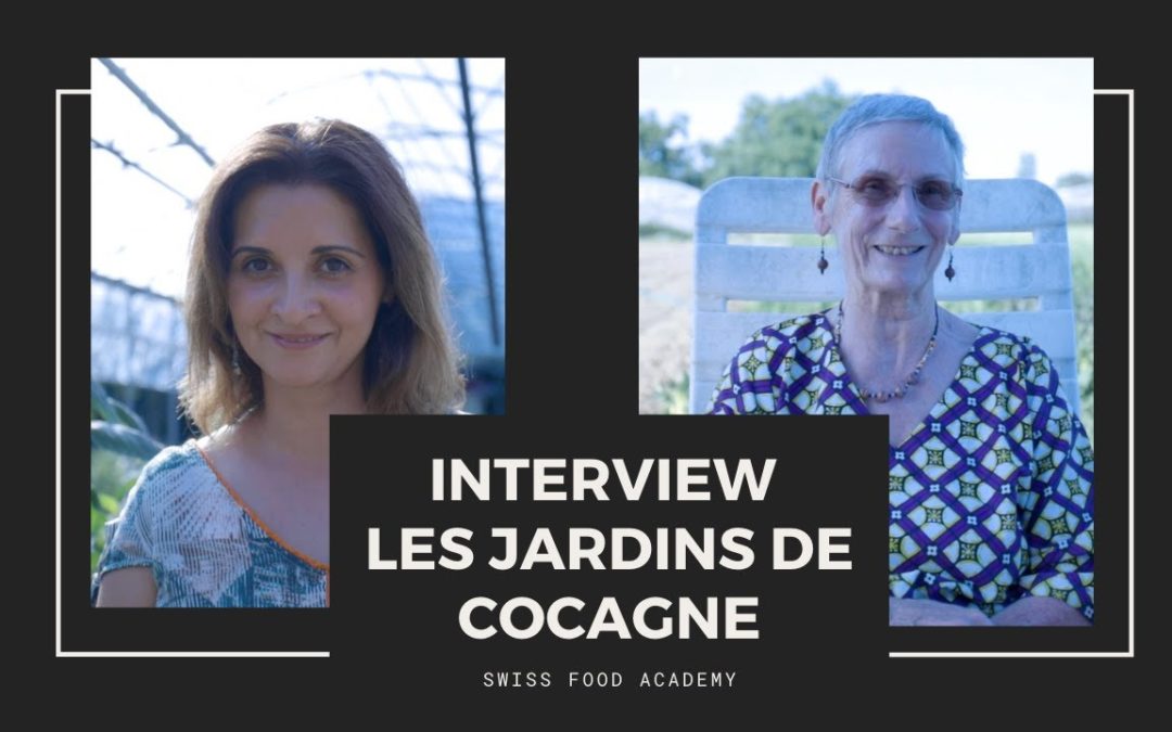 Interview #3