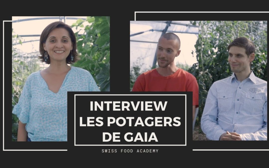 Interview #4