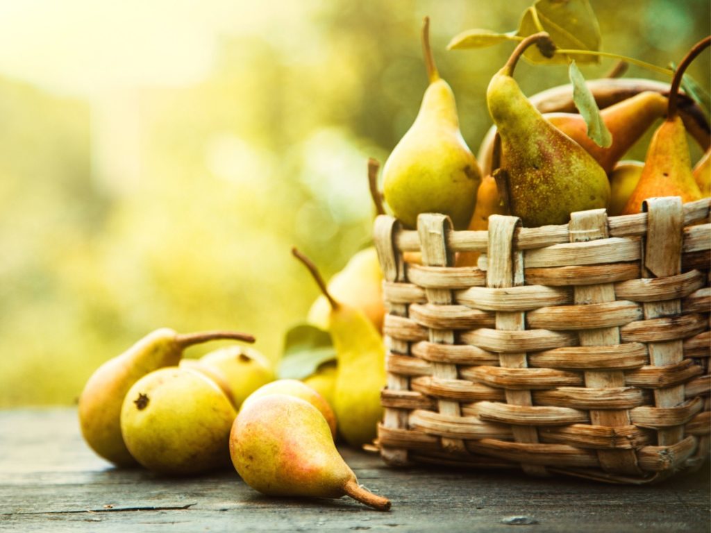 la-poire-fruits-de-toutes-les-saisons