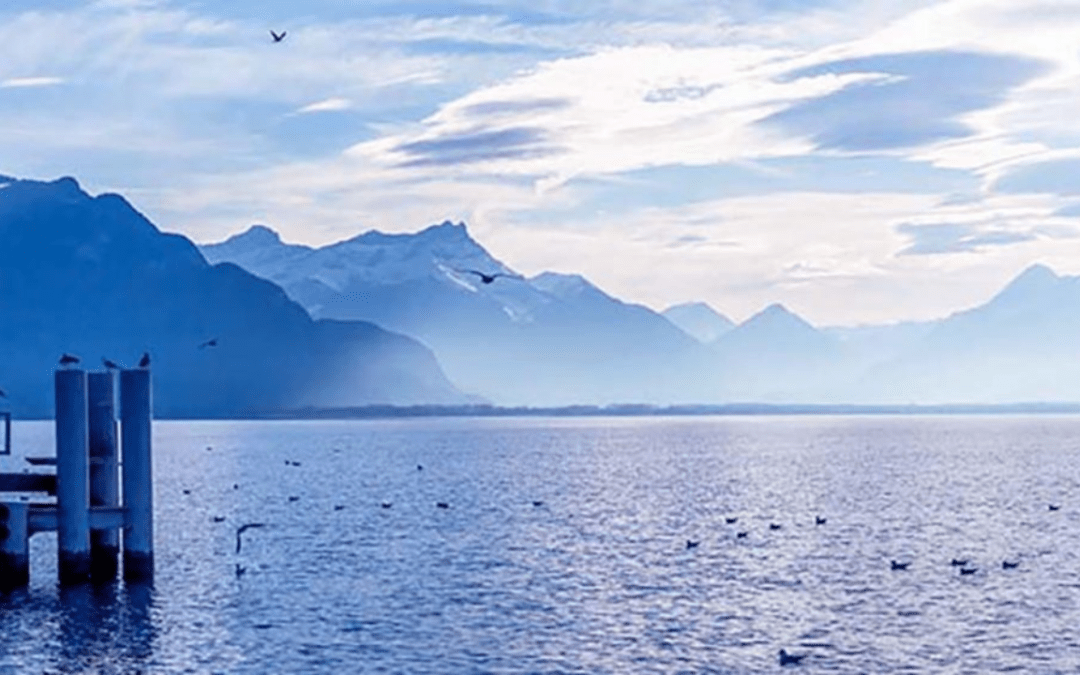 Le Léman et ses poissons