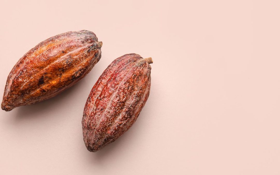 Le Cacao