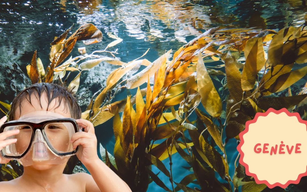 Atelier p’tits détectives : Comme un poisson dans le lac