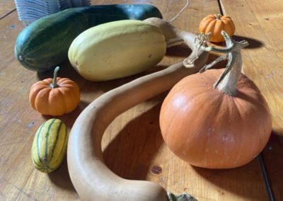 courges