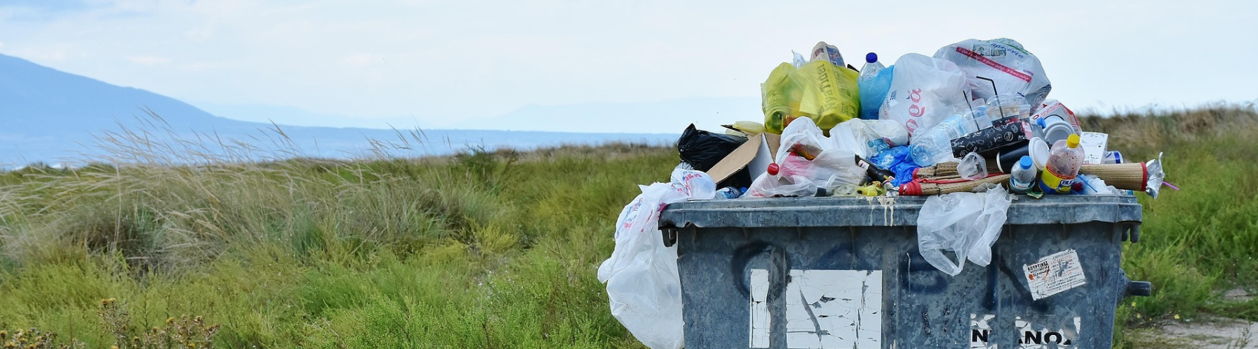 journée Mondiale de l'environnement