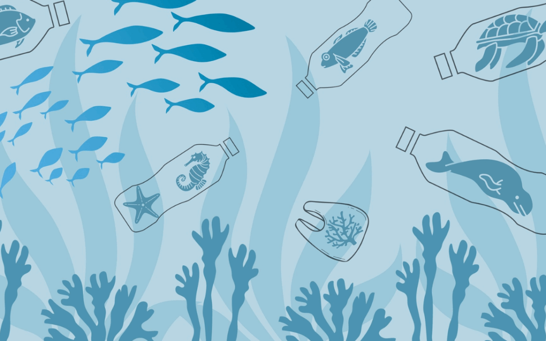 Journée mondiale de l’environnement : pollution de plastique, ça suffit !