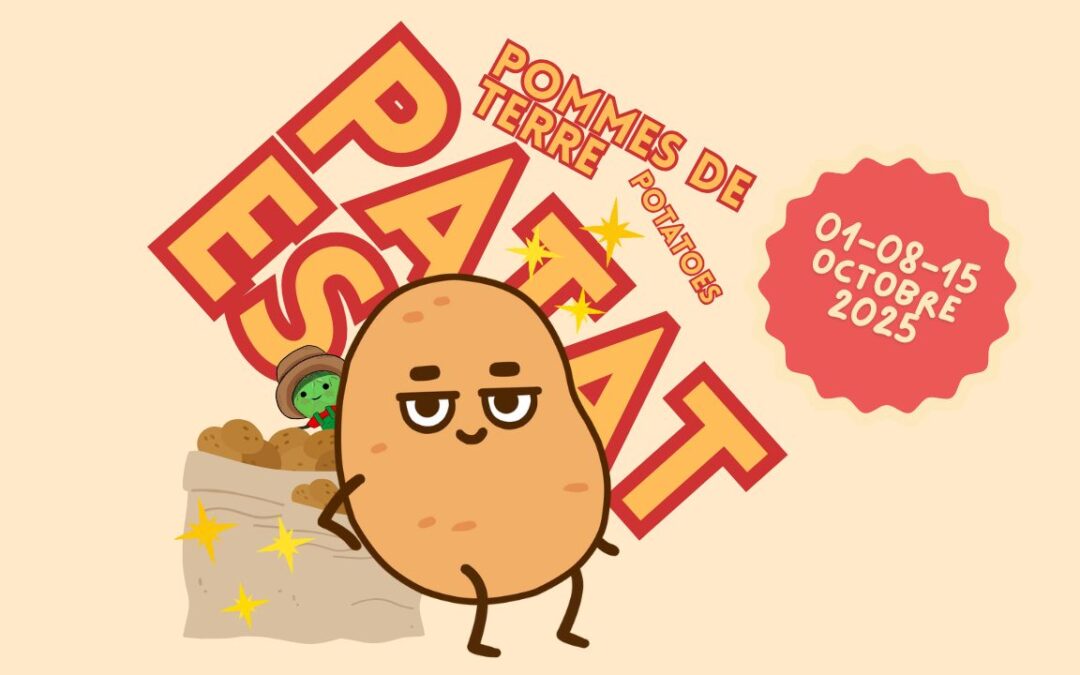 Atelier octobre 2025 // Patati et patata au jardin