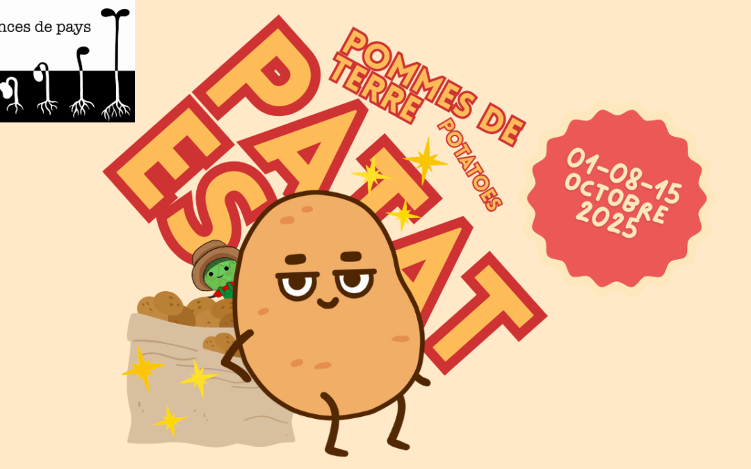 Atelier octobre 2025 // Patati et patata au jardin
