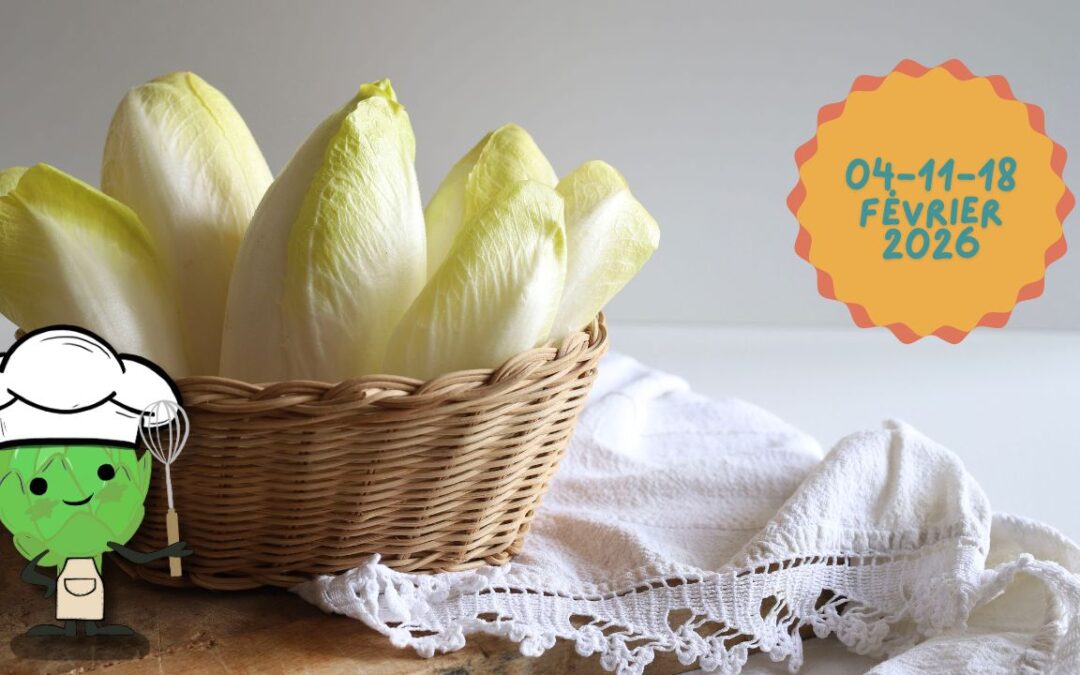 Atelier p’tits chefs février 2026 // Les endives sortent de l’ombre