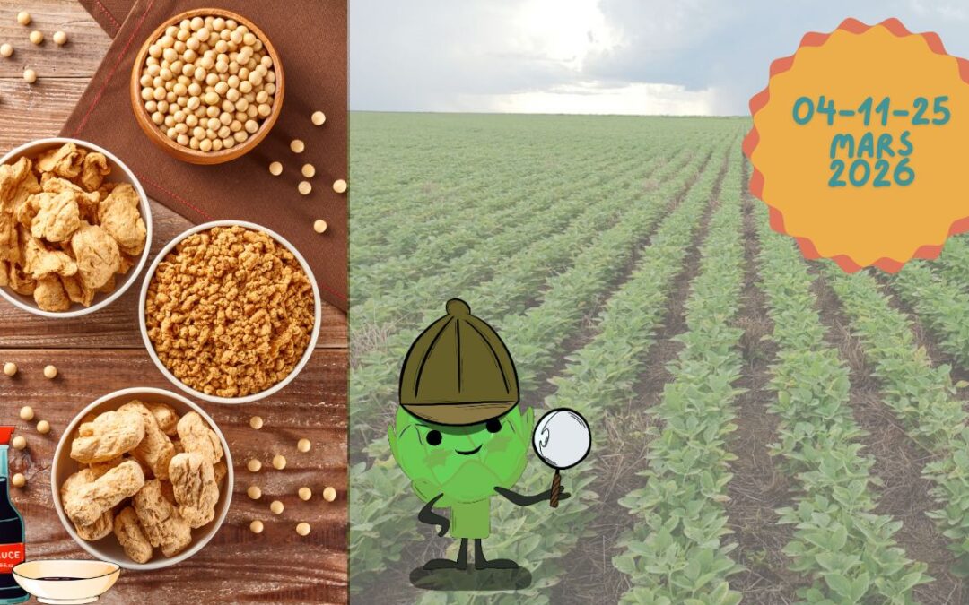 Atelier p’tits détectives mars 2026 // Sur les traces du soja